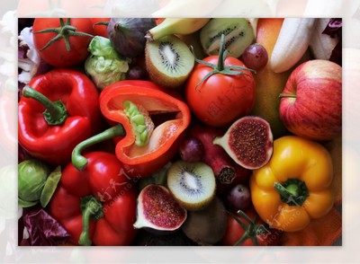 生机盎然 从水果蔬菜图片到苗木培育的艺术